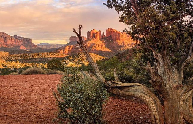 Scenic Sedona Chapel Bells - Jeep Tour - Photo 2